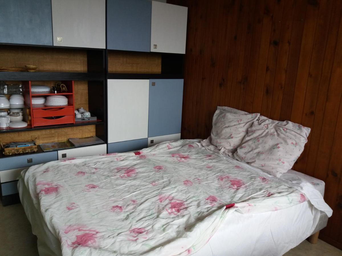 Studio Aux Pieds Des Pistes Besse-et-Saint-Anastaise Kültér fotó