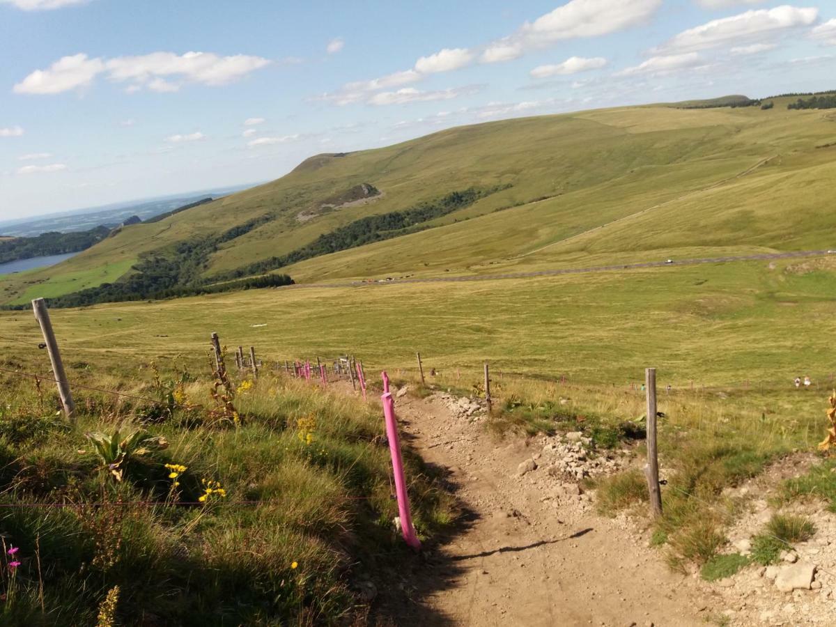 Studio Aux Pieds Des Pistes Besse-et-Saint-Anastaise Kültér fotó